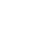 Steam